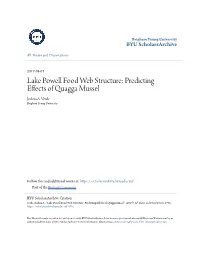 Lake Powell Food Web Structure: Predicting Effects of Quagga Mussel Joshua A
