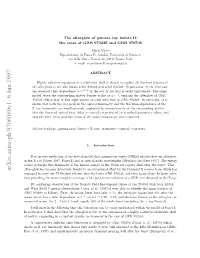 The Afterglow of Gamma Ray Bursts II: the Cases of GRB 970228 and GRB