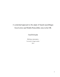 A Contextual Approach to the Study of Faunal Assemblages from Lower and Middle Palaeolithic Sites in the UK