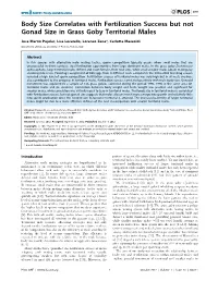 Body Size Correlates with Fertilization Success but Not Gonad Size in Grass Goby Territorial Males