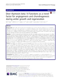 Deer Thymosin Beta 10 Functions As a Novel Factor for Angiogenesis And