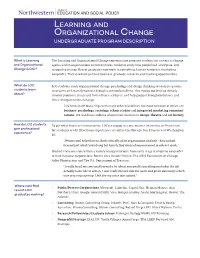 Learning and Organizational Change UNDERGRADUATE PROGRAM DESCRIPTION