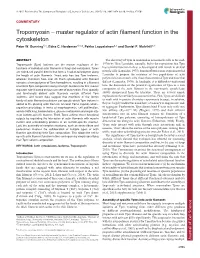 Master Regulator of Actin Filament Function in the Cytoskeleton Peter W