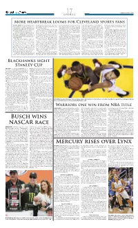P17 Layout 1