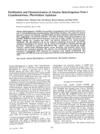 Purification and Characterization of Alanine Dehydrogenase from a Cyanobacterium, Phormidium Lapideum