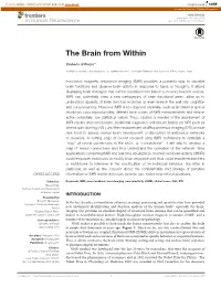 The Brain from Within