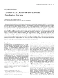 The Roles of the Caudate Nucleus in Human Classification Learning