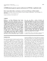 FERM Domain Mediates Apical Targeting of PTP-BL 3301 and Incubating for 30 Minutes at Room Temperature