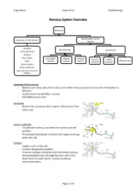 Nervous System Overview