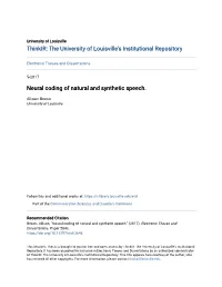 Neural Coding of Natural and Synthetic Speech