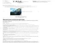 2016-Many Lancair Crashes Are Due To.Pdf