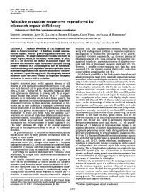 Adaptive Mutation Sequences Reproduced by Mismatch Repair Deficiency (Escherichia Coli/Muts/Dam/Spontaneous Mutation/Recombination) SIMONNE LONGERICH, ANNE M