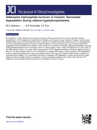 Adenosine Triphosphate Turnover in Humans. Decreased Degradation During Relative Hyperphosphatemia