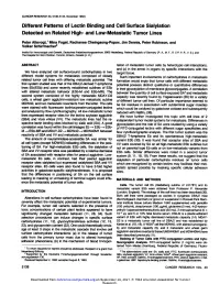Different Patterns of Lectin Binding and Cell Surface Sialylation Detected on Related High- and Low-Metastatic Tumor Lines