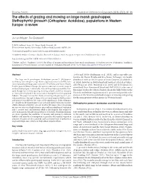 The Effects of Grazing and Mowing on Large Marsh Grasshopper, Stethophyma Grossum (Orthoptera: Acrididae), Populations in Western Europe: a Review