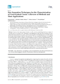 Size Separation Techniques for the Characterisation of Cross-Linked Casein: a Review of Methods and Their Applications