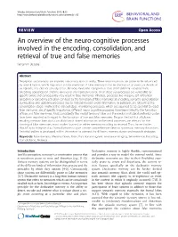 An Overview of the Neuro-Cognitive Processes Involved in the Encoding, Consolidation, and Retrieval of True and False Memories Benjamin Straube*