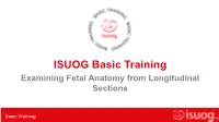 Evaluating Fetal Anatomy from Longitudinal Sections