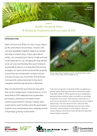 Exotic Invasive Ants a Threat to Business and Our Way of Life
