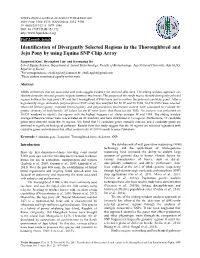 Identification of Divergently Selected Regions in the Thoroughbred and Jeju Pony by Using Equine SNP Chip Array