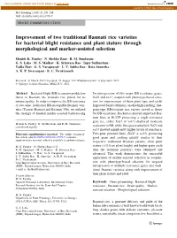 Improvement of Two Traditional Basmati Rice Varieties for Bacterial Blight Resistance and Plant Stature Through Morphological and Marker-Assisted Selection
