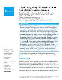 Trophic Upgrading and Mobilization of Wax Esters in Microzooplankton