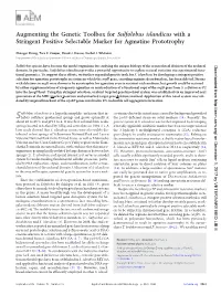 Augmenting the Genetic Toolbox for Sulfolobus Islandicus with a Stringent Positive Selectable Marker for Agmatine Prototrophy