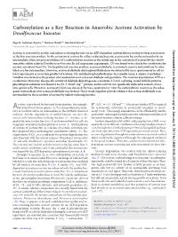 Carbonylation As a Key Reaction in Anaerobic Acetone Activation by Desulfococcus Biacutus
