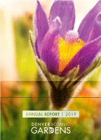2019 Annualreport.Pdf