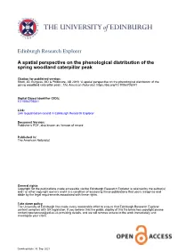 705241 1 .Pdf