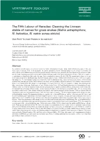 Cleaning the Linnean Stable of Names for Grass Snakes (Natrix Astreptophora, N