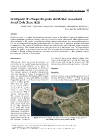 Development of Techniques for Gender Identification in Holothuria Forskali