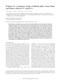 Evidence for a Sympatric Origin of Ribolla Gialla, Gouais Blanc and Schiava Cultivars (V