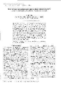 Insecta, Coleoptera, Carabidae, Pseudomorphinae)