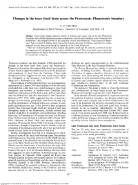 Changes in the Trace Fossil Biota Across the Proterozoic-Phanerozoic Boundary