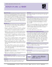 Datasheet Blank Template
