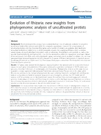 Evolution of Rhizaria