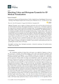 Marching Cubes and Histogram Pyramids for 3D Medical Visualization