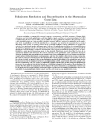 Palindrome Resolution and Recombination in the Mammalian Germ Line ERCAN AKGU¨ N,1† JEFFREY ZAHN,1 SUSAN BAUMES,1 GREG BROWN,2 FENG LIANG,1 1 2 1 PETER J