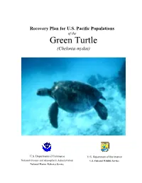 Recovery Plan for the US Populations of the Green Turtle