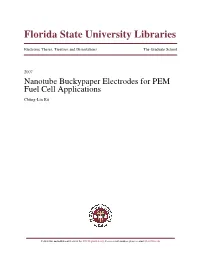 Nanotube Buckypaper Electrodes for PEM Fuel Cell Applications Chung-Lin Ku