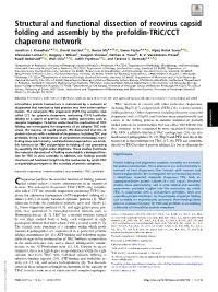 Structural and Functional Dissection of Reovirus Capsid Folding and Assembly by the Prefoldin-Tric/CCT Chaperone Network