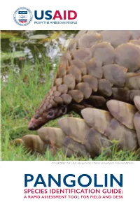 Pangolin-Id-Guide-Rast-English.Pdf