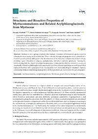 Structures and Bioactive Properties of Myrtucommulones and Related Acylphloroglucinols from Myrtaceae