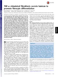 TNF-Α–Stimulated Fibroblasts Secrete Lumican to Promote Fibrocyte Differentiation