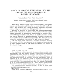Effect of Fornical Stimulation Upon the Ca1 and Ca2 Apical Dendrite of Rabbit's Hippocampus