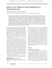 Pattern and Timing of Gene Duplication in Animal Genomes