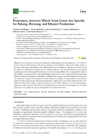 Proteomics Answers Which Yeast Genes Are Specific for Baking