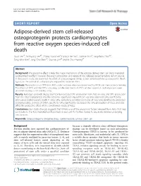 Adipose-Derived Stem Cell-Released Osteoprotegerin Protects
