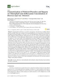 Characterization of Nutrient Disorders and Impacts on Chlorophyll and Anthocyanin Concentration of Brassica Rapa Var